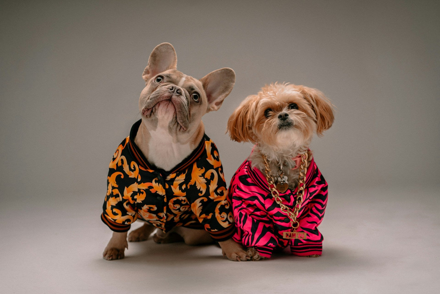 Pet Clothes