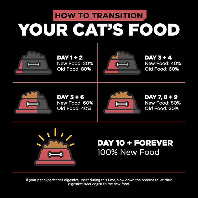Go! Solutions Sensitivities Limited Ingredient, Grain-Free Dry Cat Food, Salmon Recipe for Sensitive Stomach, 6 lb Bag