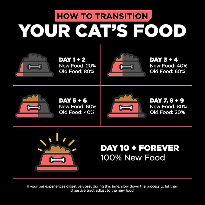 Go! Solutions Carnivore, Grain-Free, Protein Rich Dry Cat Food, Salmon and Cod Recipe, 16 lb Bag