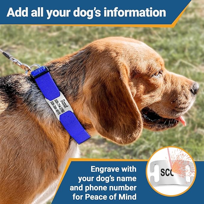 GoTags Reflective Personalized Dog Collar with Nameplate, Adjustable Dog Collar with Custom Engraved Steel Slide On Pet ID Tag, Silent, No Noise Dog Tag for Large Medium or Small (Light Gray, Small)